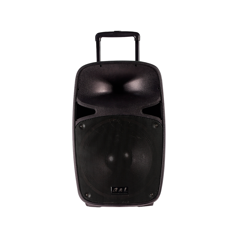 CABINA RECAR 15" 180RMS + 2 MICROFONOS REF BL-2815