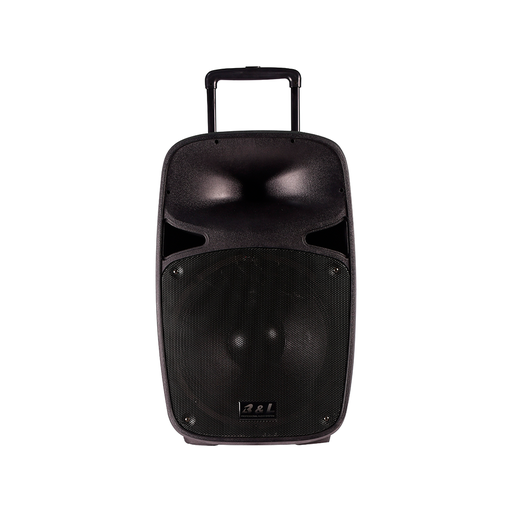 [019456] CABINA RECAR 15" 180RMS + 2 MICROFONOS REF BL-2815